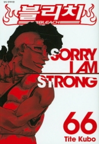 블리치 66